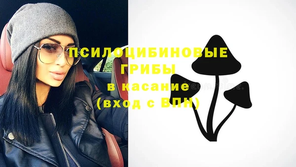 круглые Абаза