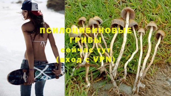 круглые Абаза
