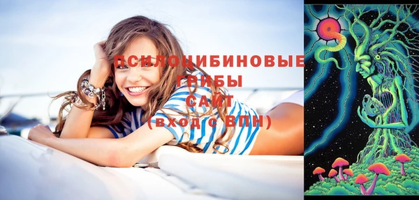 круглые Абаза