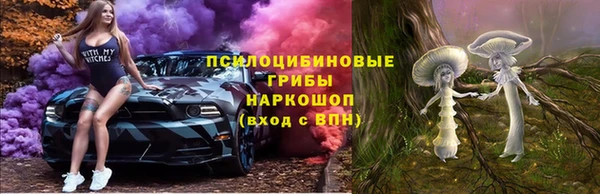 круглые Абаза