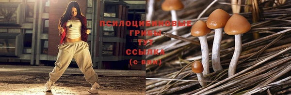 круглые Абаза